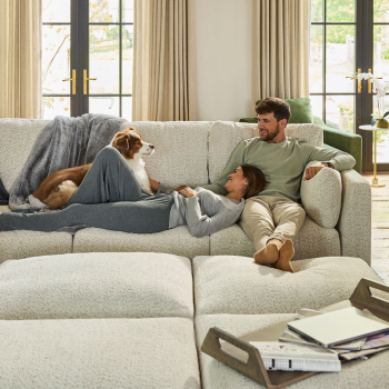 Lovesac-Summer Savings icon