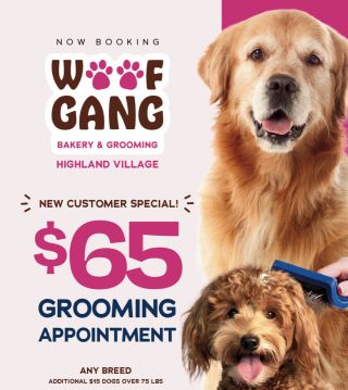 Woof Gang-Grand Opening Offer icon