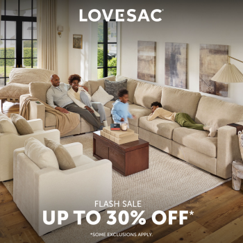 Lovesac-Flash Sale icon